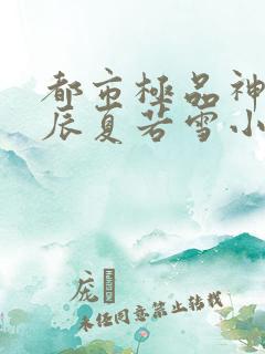 都市极品神医叶辰夏若雪小说无弹窗