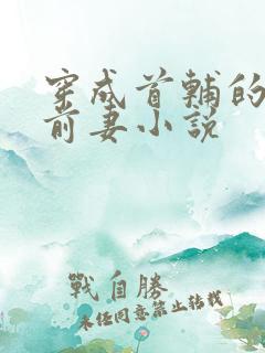 穿成首辅的炮灰前妻小说