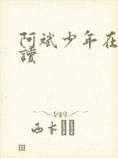 阿斌少年在线阅读