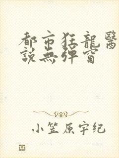 都市狂龙医仙小说无弹窗