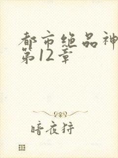 都市绝品神医 第12章