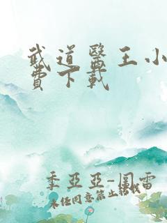 武道医王小说免费下载