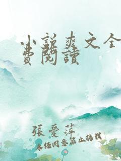 小说爽文全文免费阅读
