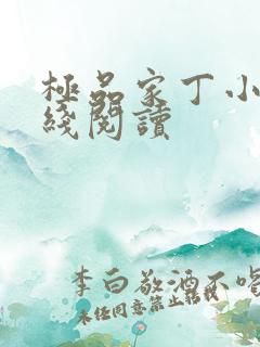 极品家丁小说在线阅读