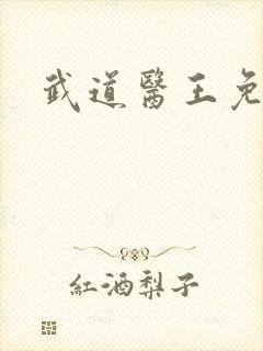 武道医王免费