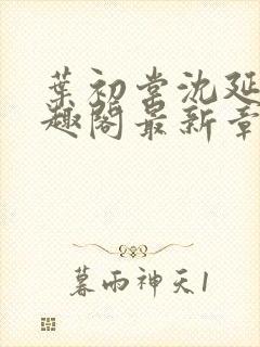 叶初棠沈延川笔趣阁最新章节更新