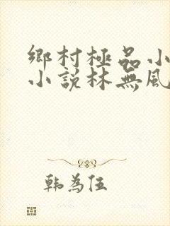 乡村极品小医师小说林无风