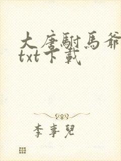 大唐驸马爷全文txt下载