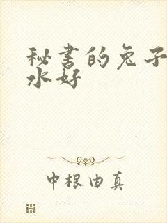 秘书的兔子好软水好
