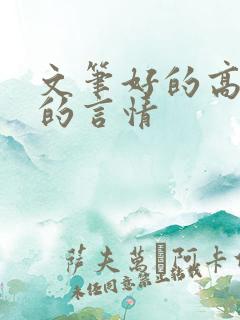 文笔好的高质量的言情