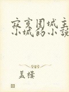 寂寞围城主人公小城的小说