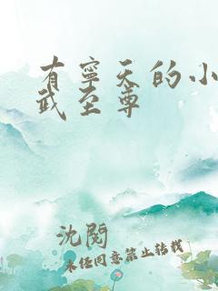 有宁天的小说医武至尊