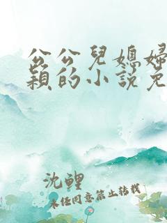 公公儿媳妇是李颖的小说免费阅读全文