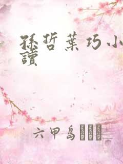 孙哲叶巧小说阅读