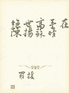 绝世高手在都市陈扬苏晴
