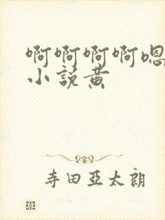 啊啊啊啊嗯嗯嗯小说黄