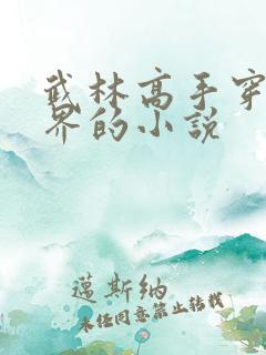武林高手穿越异界的小说
