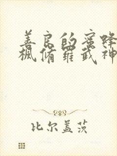 善良的蜜蜂 楚枫修罗武神