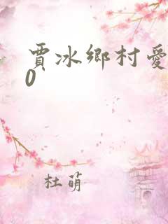 贾冰乡村爱情10