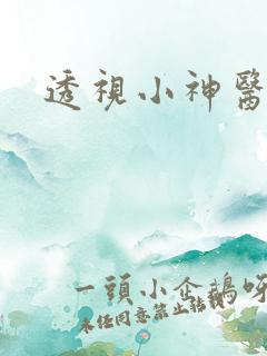 透视小神医完结