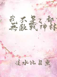 我不是z 都市无敌战神林北