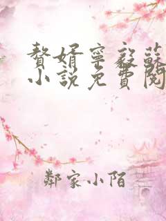 赘婿宁毅苏檀儿小说免费阅读完整