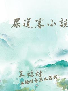 尿道塞小说