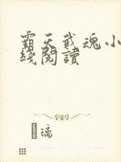 霸天武魂小说在线阅读
