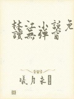 林江小说免费阅读无弹窗