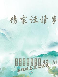 杨家洼情事小说