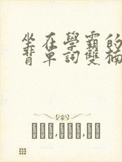 坐在学霸的棍子背单词双楠
