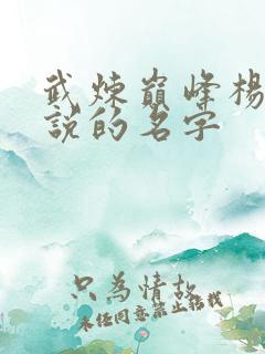 武炼巅峰杨开小说的名字