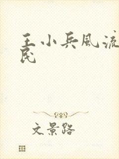 王小兵风流小农民