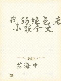 我的绝色老板娘 小说全文