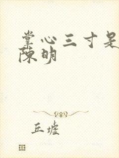 掌心三寸是人间陈明