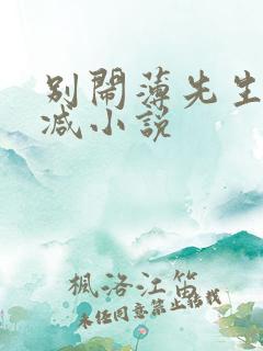 别闹薄先生无删减小说