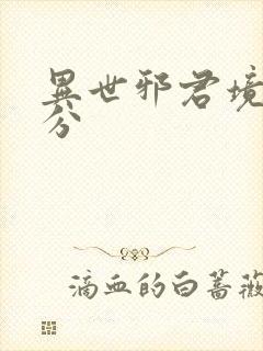 异世邪君境界划分