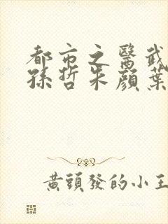 都市之医武风流孙哲朱颜叶巧
