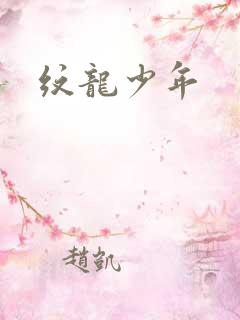 纹龙少年