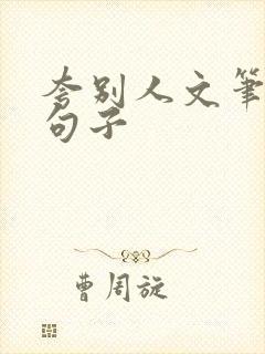 夸别人文笔好的句子