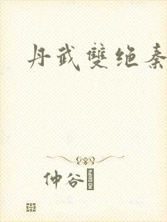 丹武双绝秦明