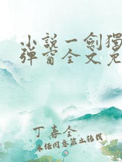 小说一剑独尊无弹窗全文免费阅读