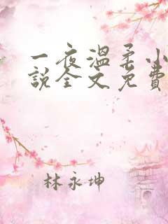 一夜温柔小可小说全文免费阅读
