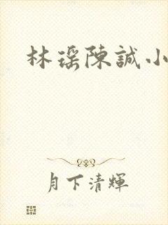 林瑶陈诚小说