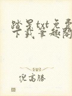 踏星txt免费下载笔趣阁
