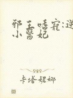 邪王嗜宠:逆天小医妃