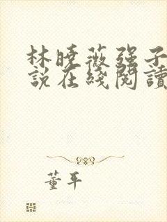 林晓薇强子的小说在线阅读笔趣阁