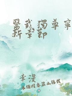 医武独尊宁天最新章节