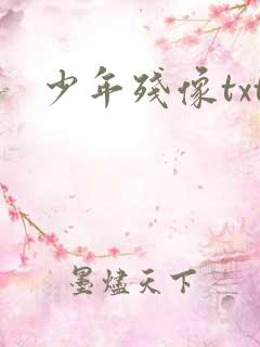 少年残像txt