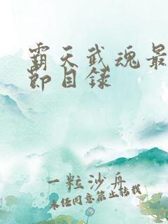 霸天武魂最新章节目录